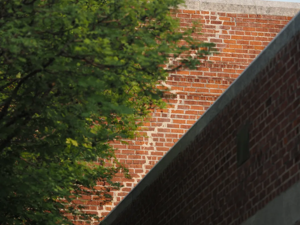 a tree and a brick war