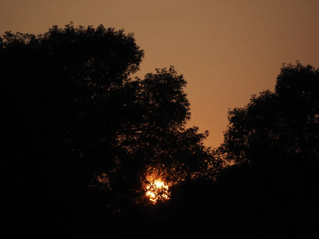 a setting sun in a pink-grey smokey sky