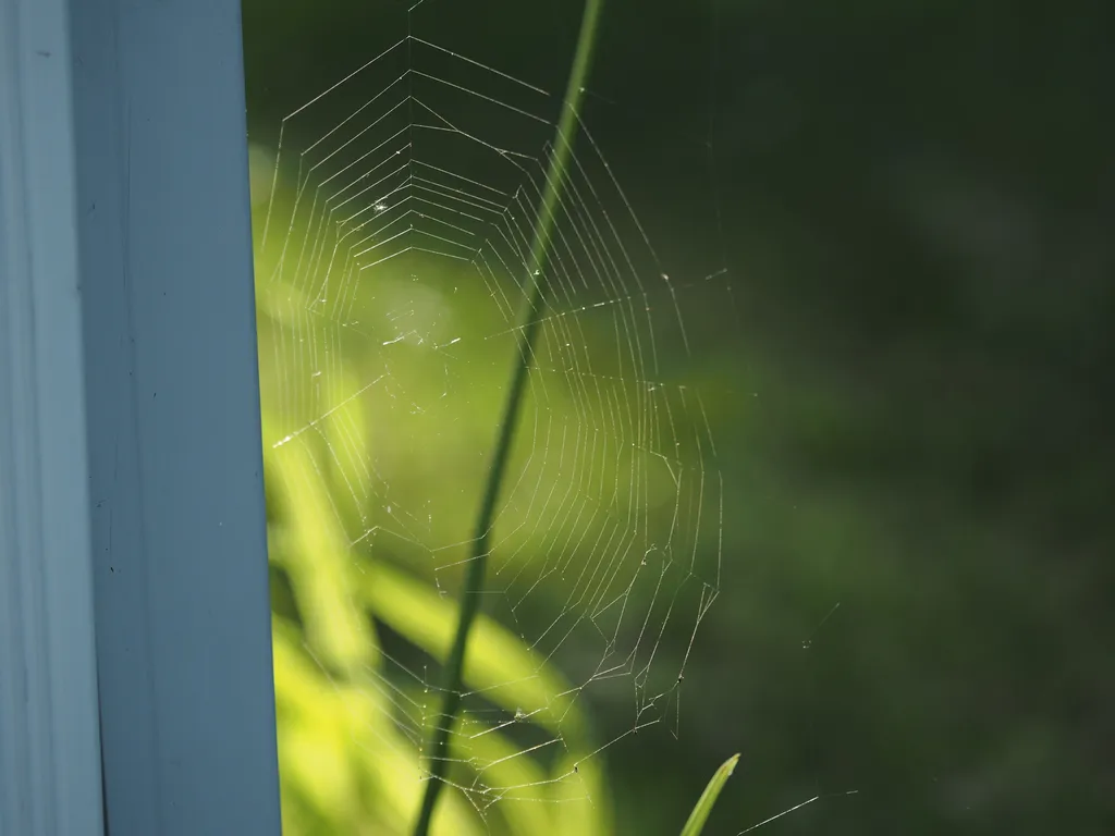 a large spiderweb on a house