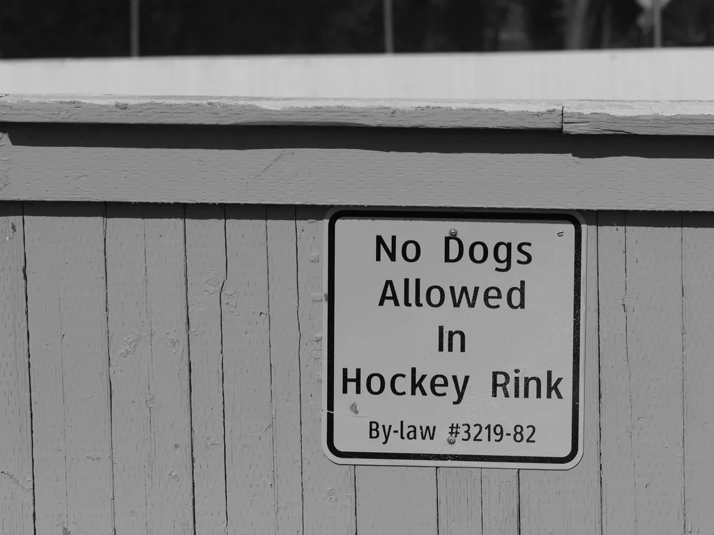 a sign warning people that dogs aren't allowed in hockey rinks