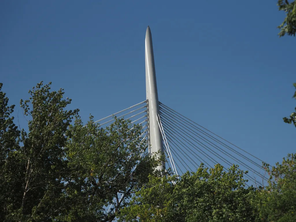 the spire of a suspension bridge above the trees