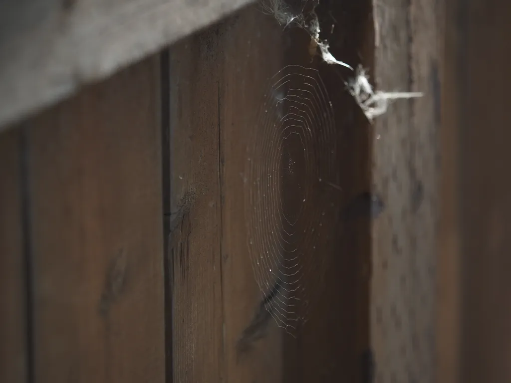 a round spiderweb on a fence