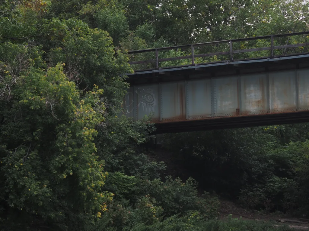 a rail bridge dissapearing into the trees