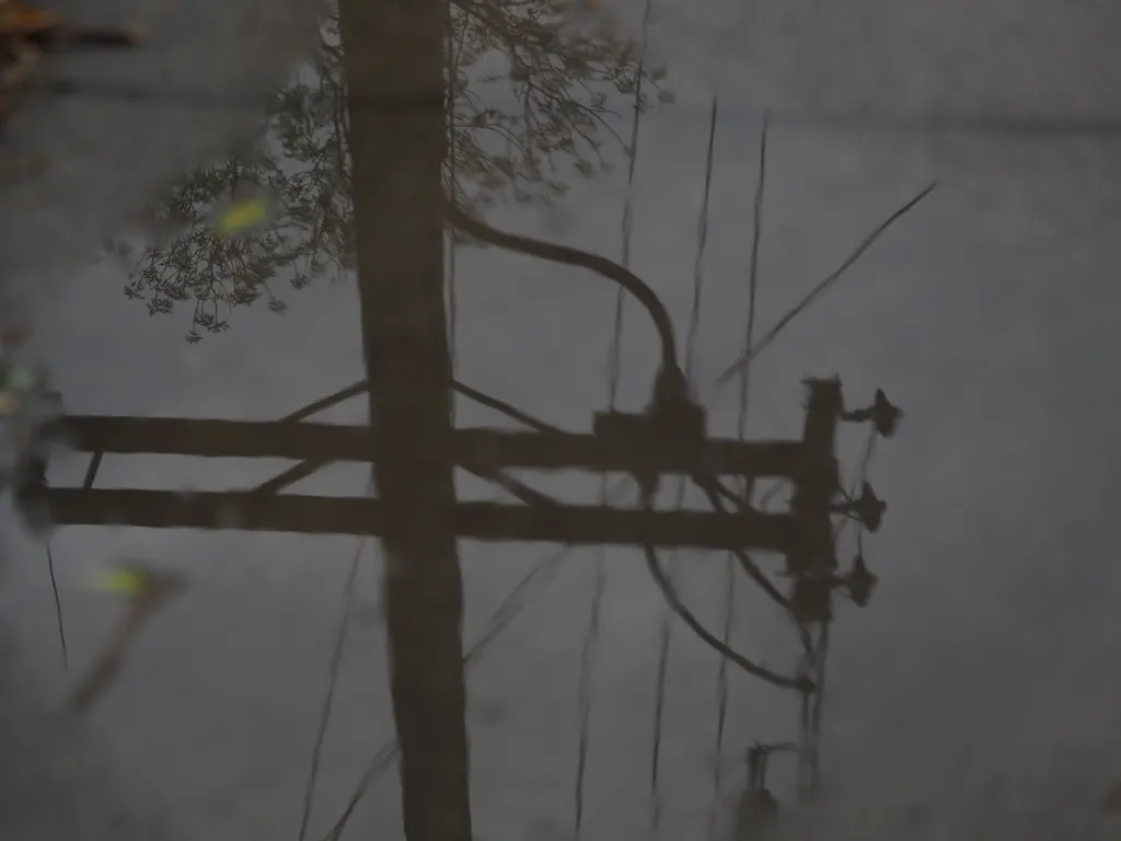 a telephone pole reflected in a puddle