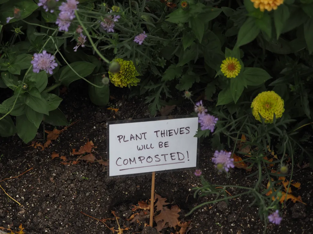 a sign warning: plant thieves will be composted!