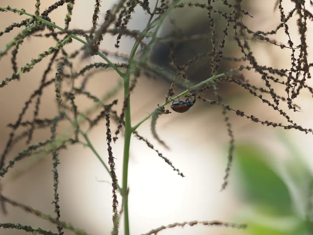 a ladybug walking along the underside of a stem of a flower