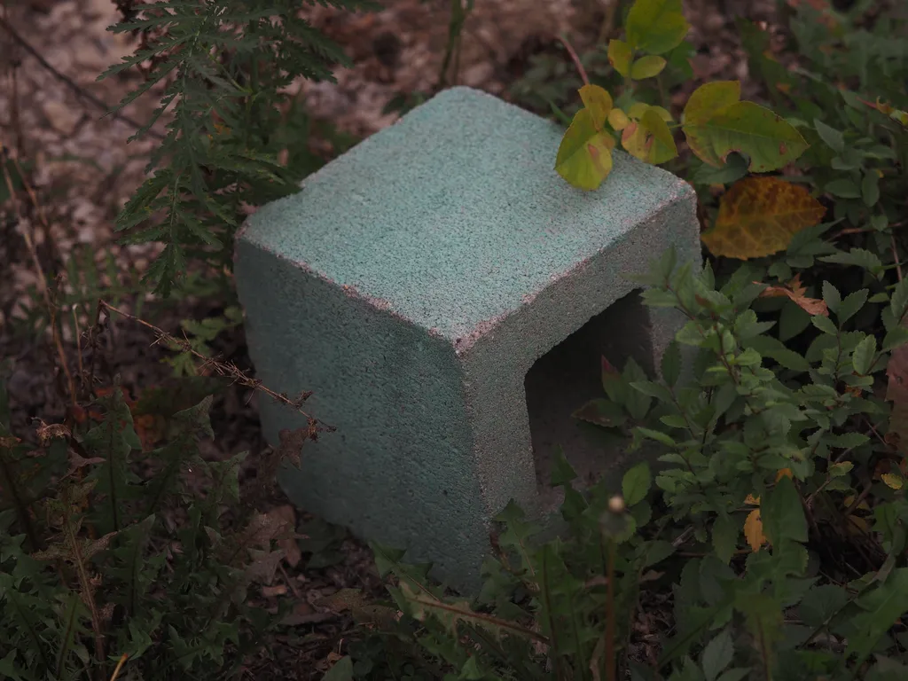 a cinder block surrounded by green plants