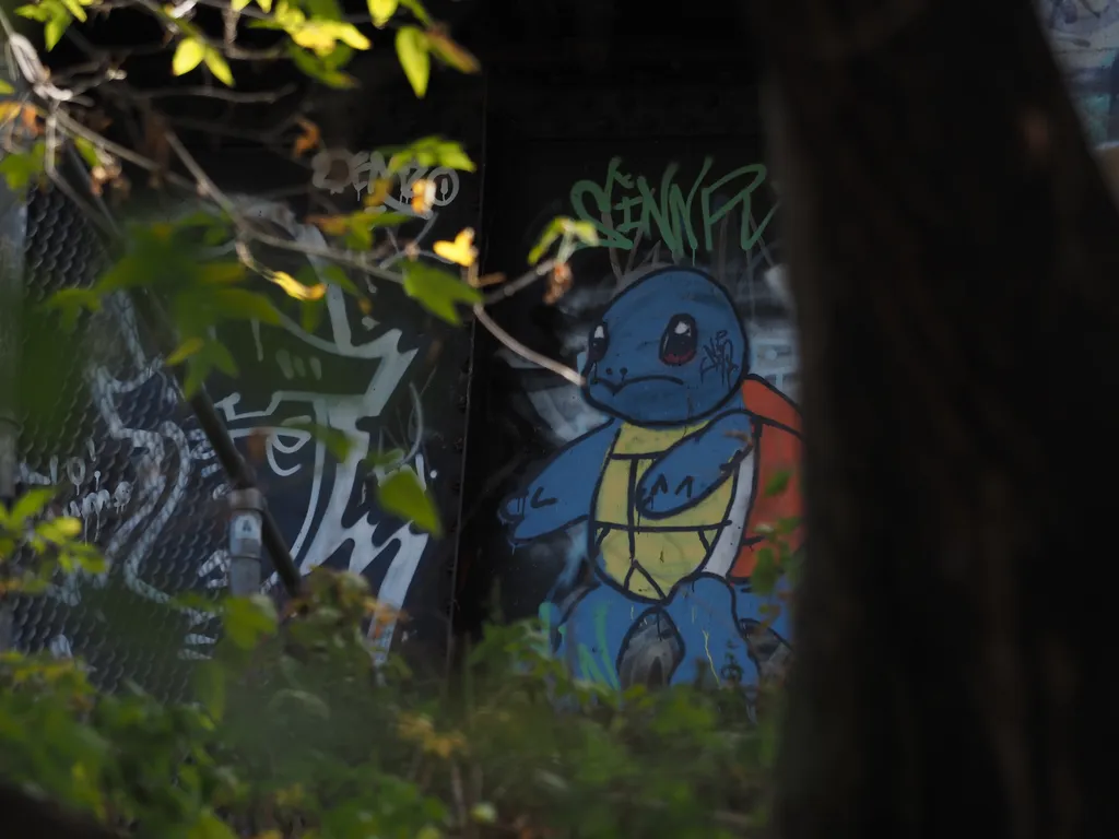 a squirtle drawn onto a rail bridge