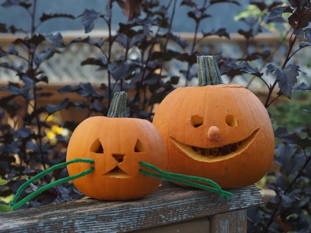 a pumpkin with a wide grin and (baby) carrot nose and a smaller 'cat' pumpkin with pipecleaner whiskers