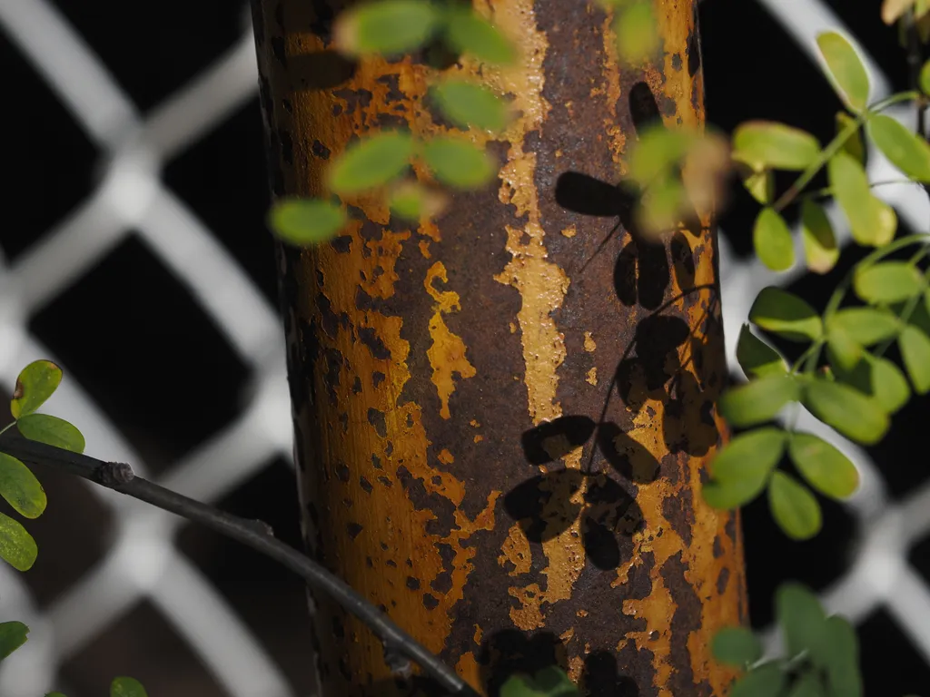 small green leaves casting a shadow on a rusty metal pole