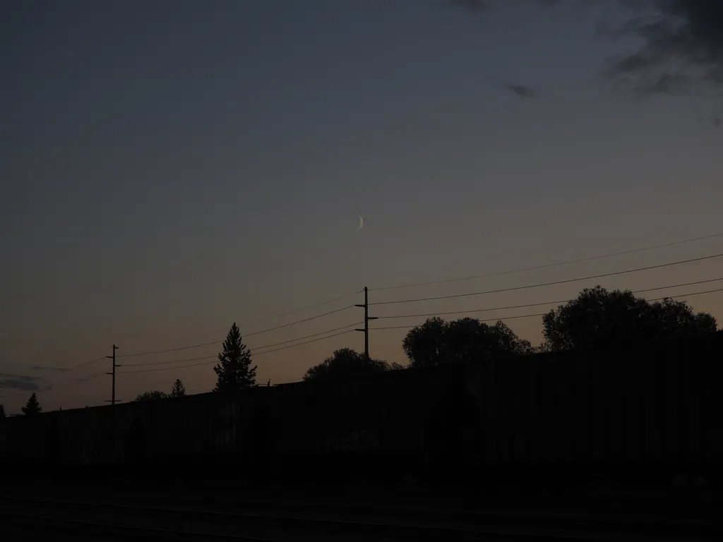 a crescent moon in a dusk sky over telephone polls and trees