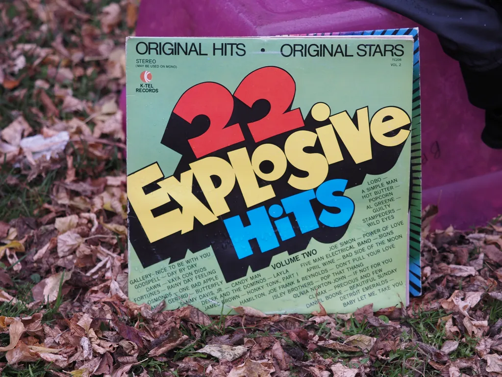 a record sitting by the trash offering '22 explosive hits'