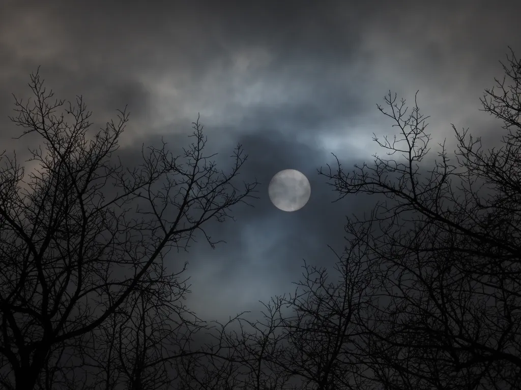 the sun flanked by trees on a cloudy day