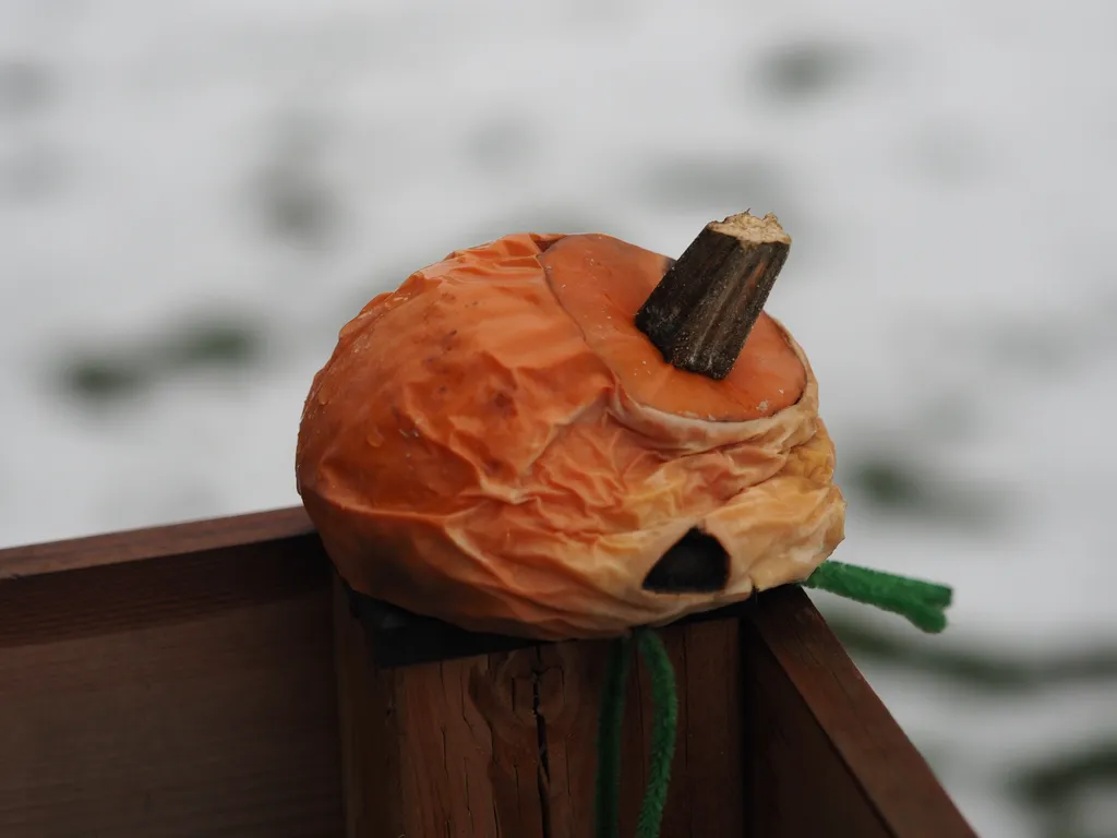 a collapsed jack o'lantern