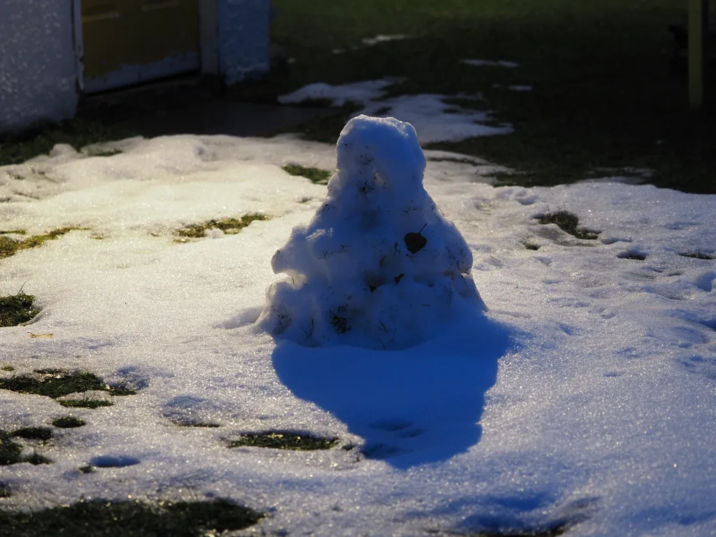 the remains of a snowman