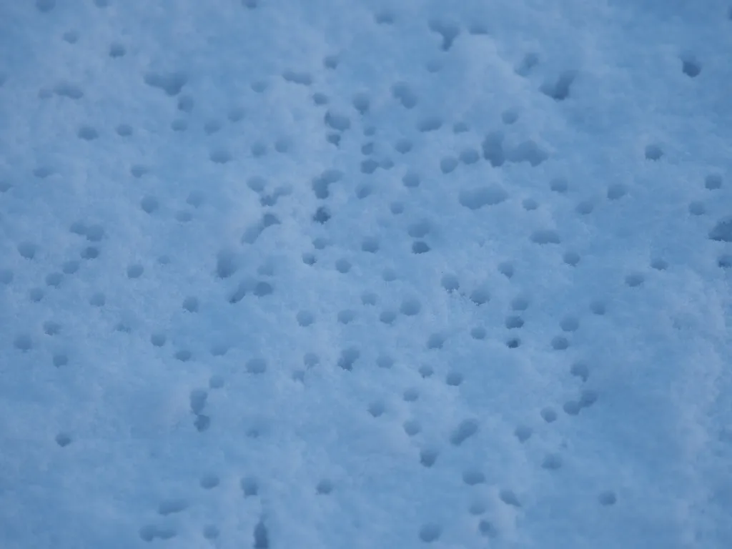 round holes in fresh snow where water droplets have bored through the surface