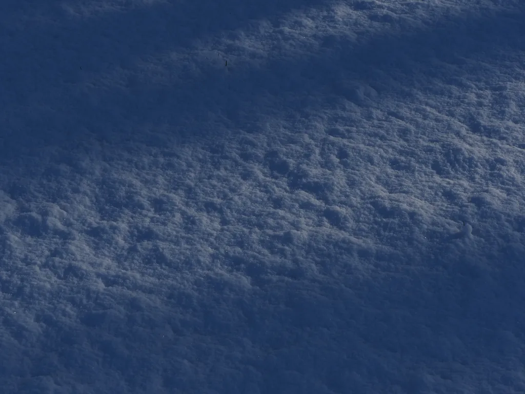 mottled snow bathed in shadow