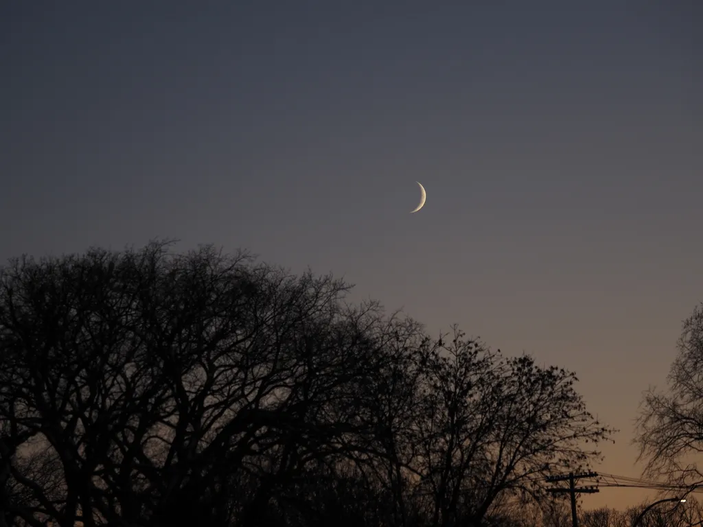 a crescent moon in a clear sky surrounded by bare branches