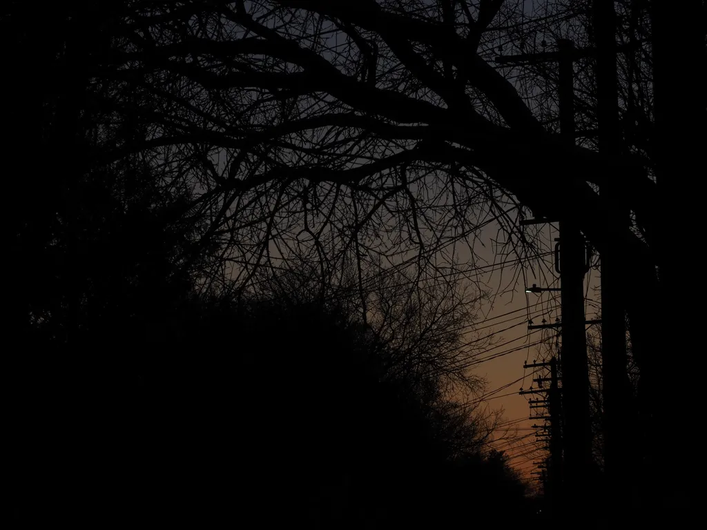 power lines and trees silhouetted at sunset