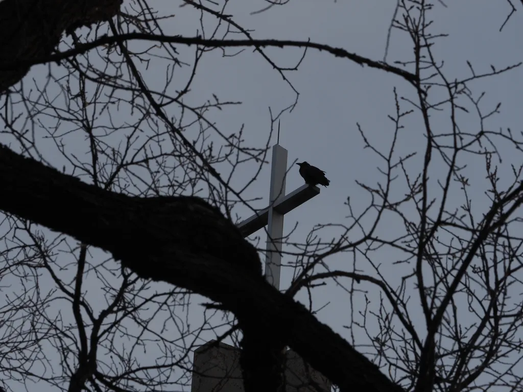 a raven on a cross on a bell tower