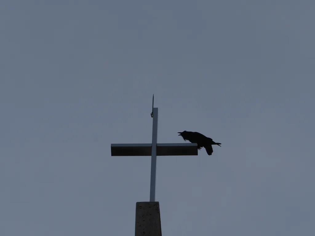 a raven on a cross on a bell tower