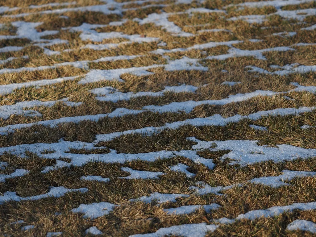 snow conforming to mow lines in a lawn