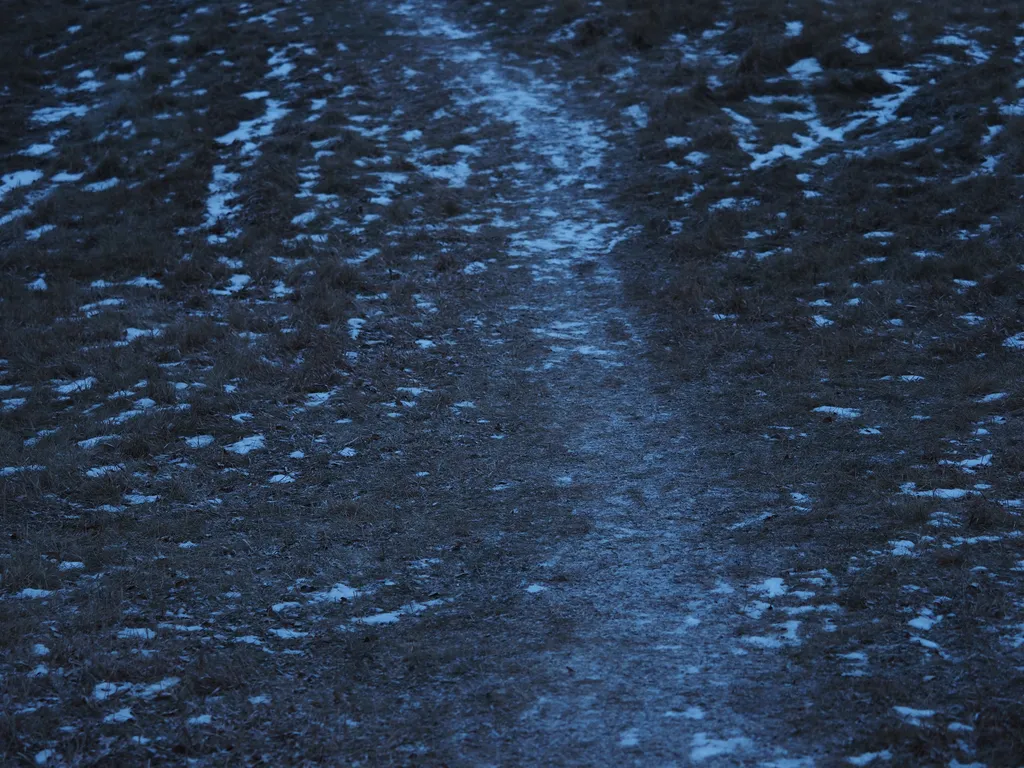 an intent path worn into grass and covered with a light dusting of snow