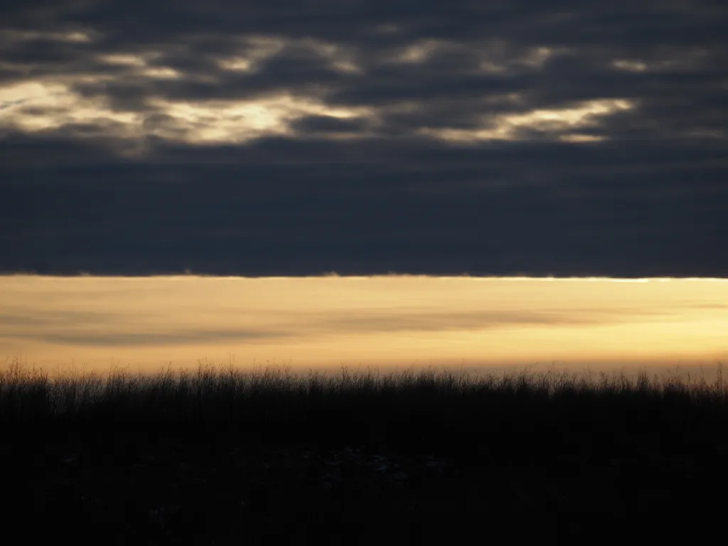 grass silhouetted by a sun setting behind a strip of clouds