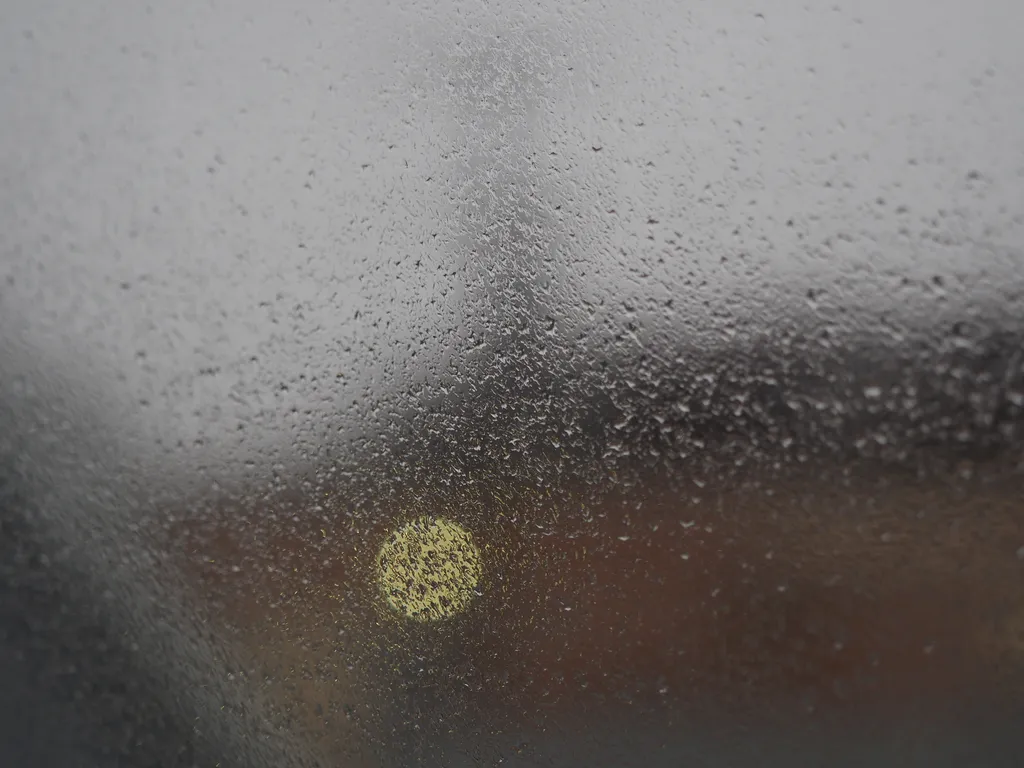 a view out a window on a rainy day