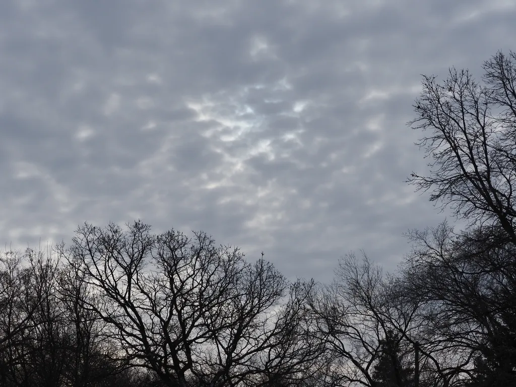 bare branches against vibrant clouds