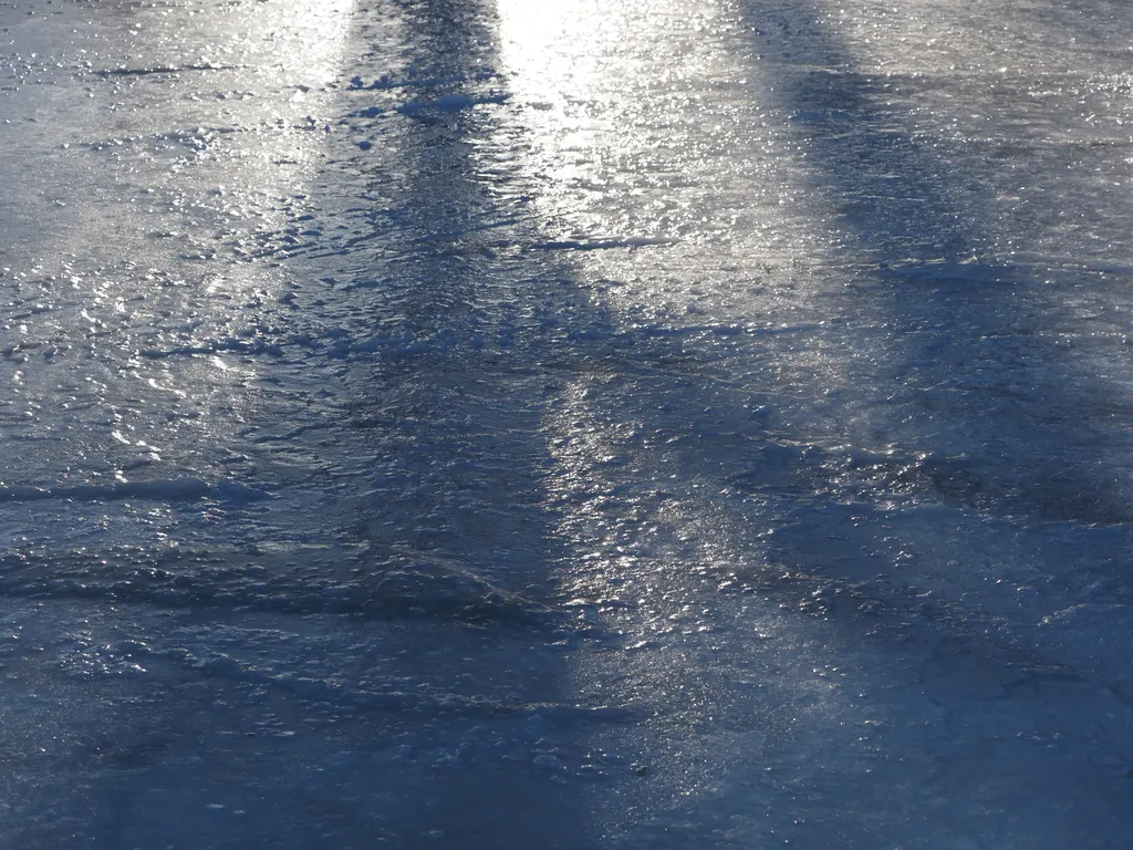 trees casting shadows on the uneven surface of a partially constructed outdoor rink in a small park