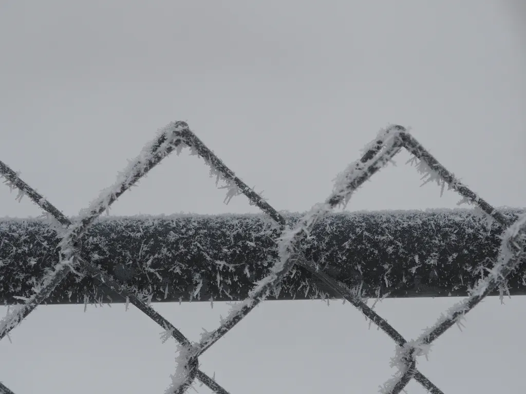 frost on a chain-link fence