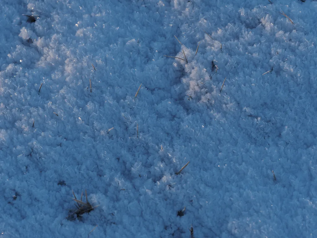 ice crystals formed on top of a thin layer of snow