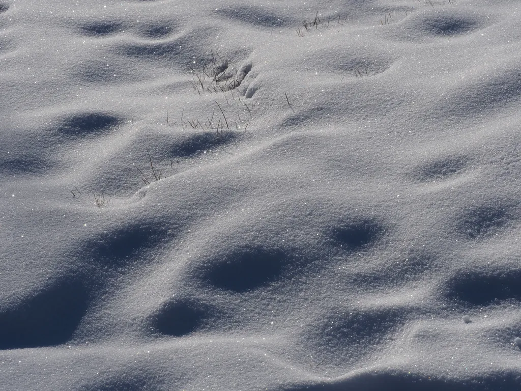 grass sticking out of uneven snow