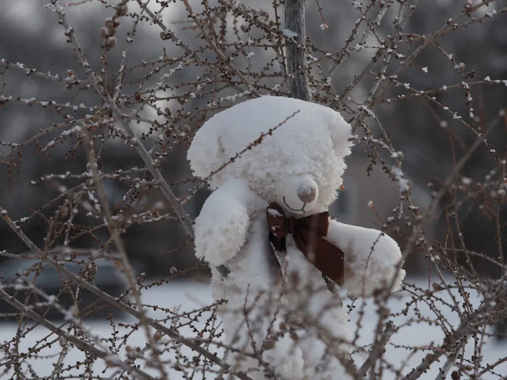 a teddy bear covered in a thin layer of snow in a small tree