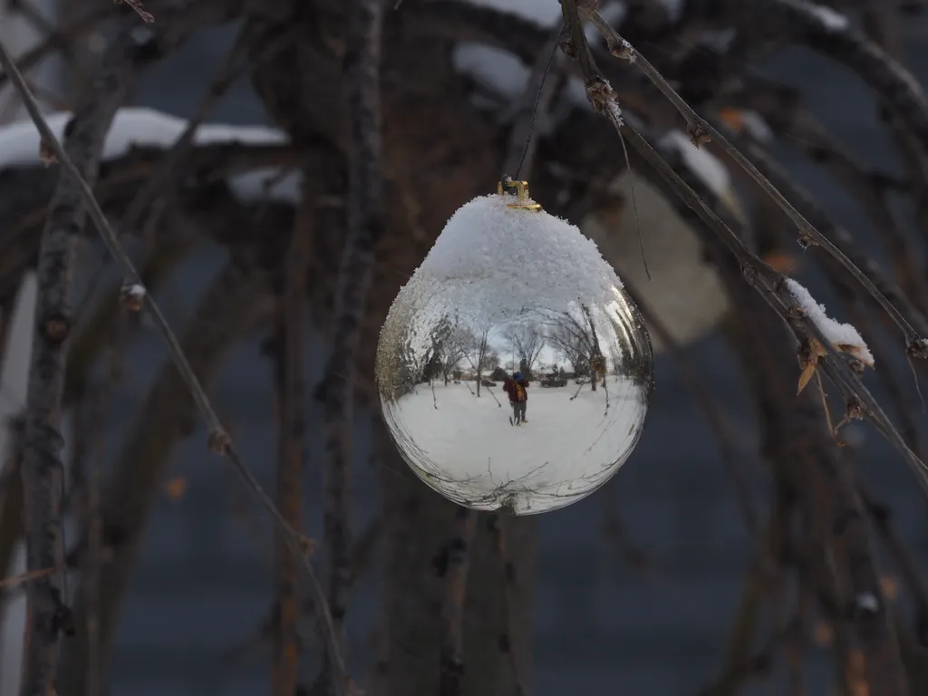 a selfie in a snow-covered ornament