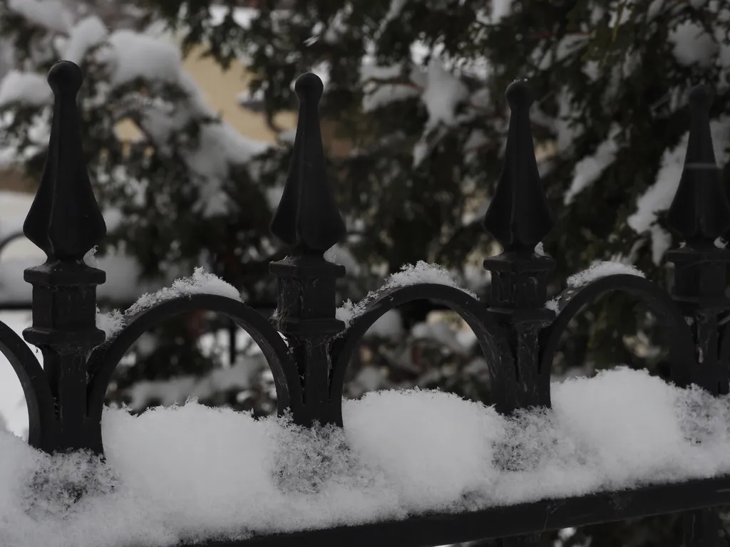 snow on a fence