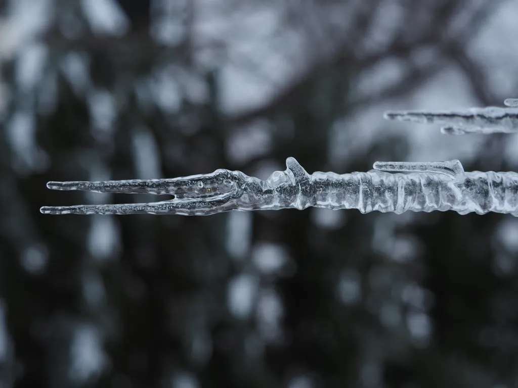 a forked icicle