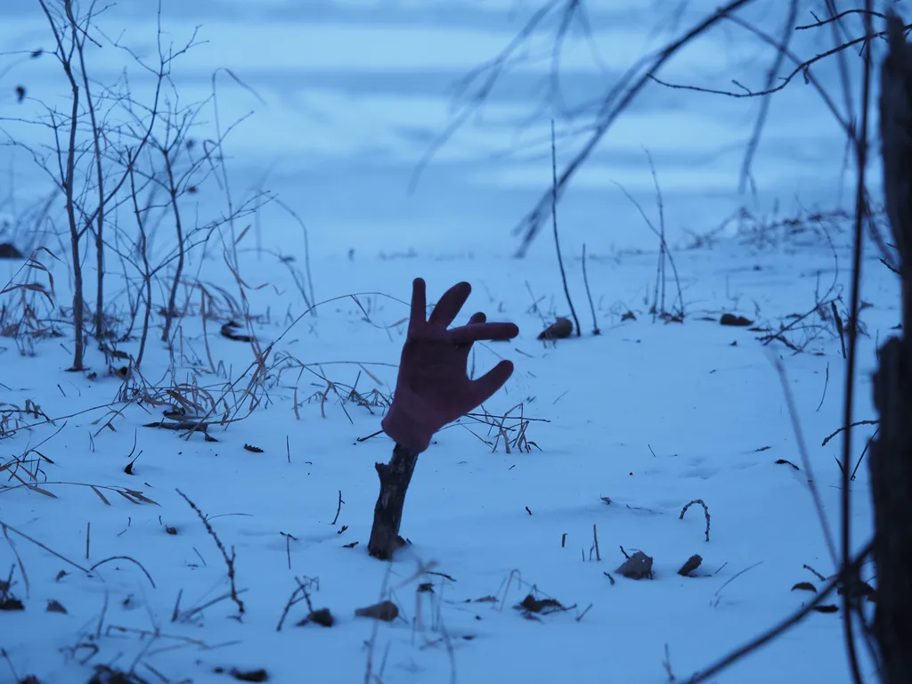 a glove on a stick jutting out of the snowy ground like a hand escaping the grave