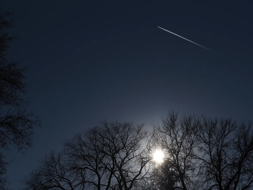 a contrail over a sun and tree