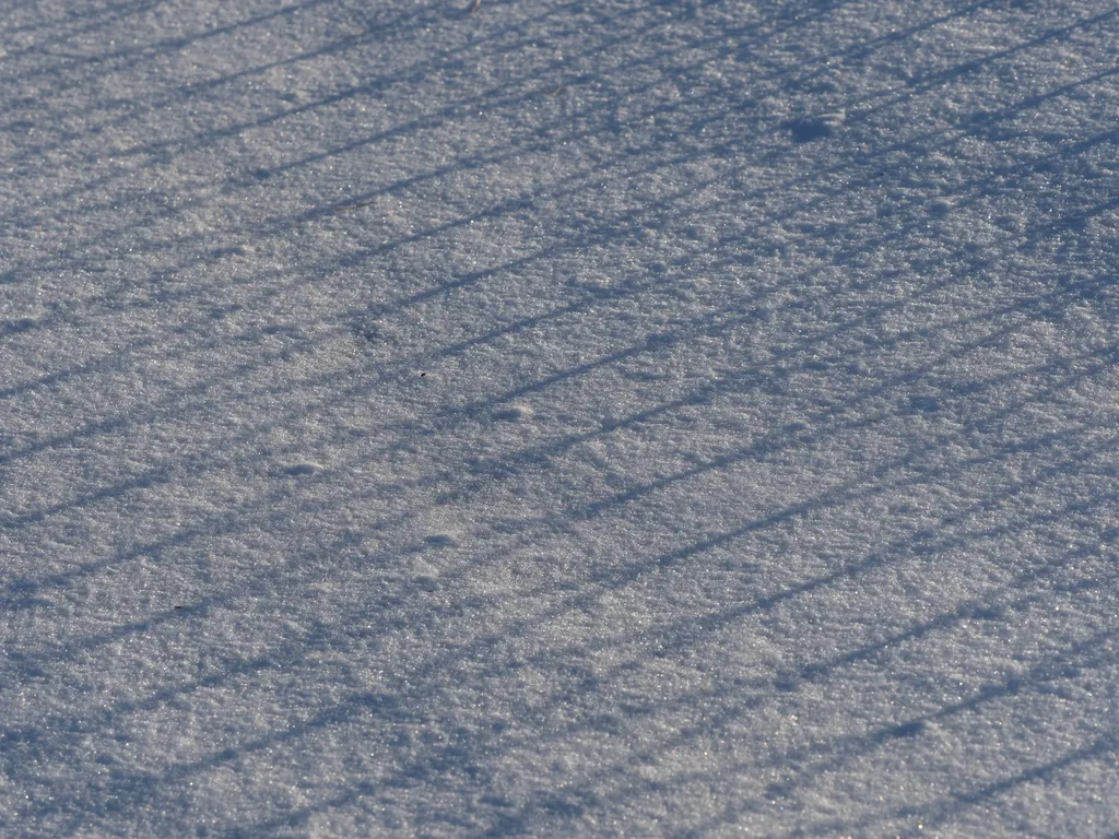 a chain-link fence casting a shadow on snow