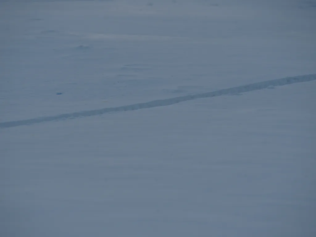 a path through the snow