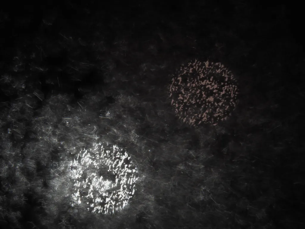 water droplets on a window at night