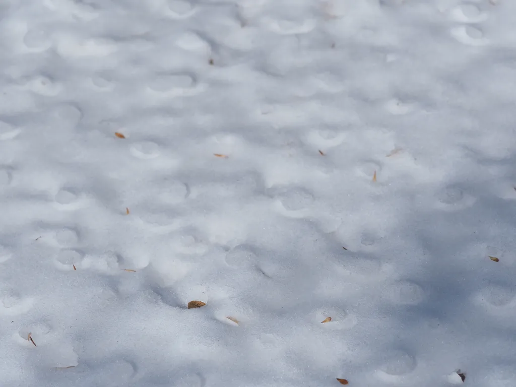 the mottled top of a snow bank that has been splashed