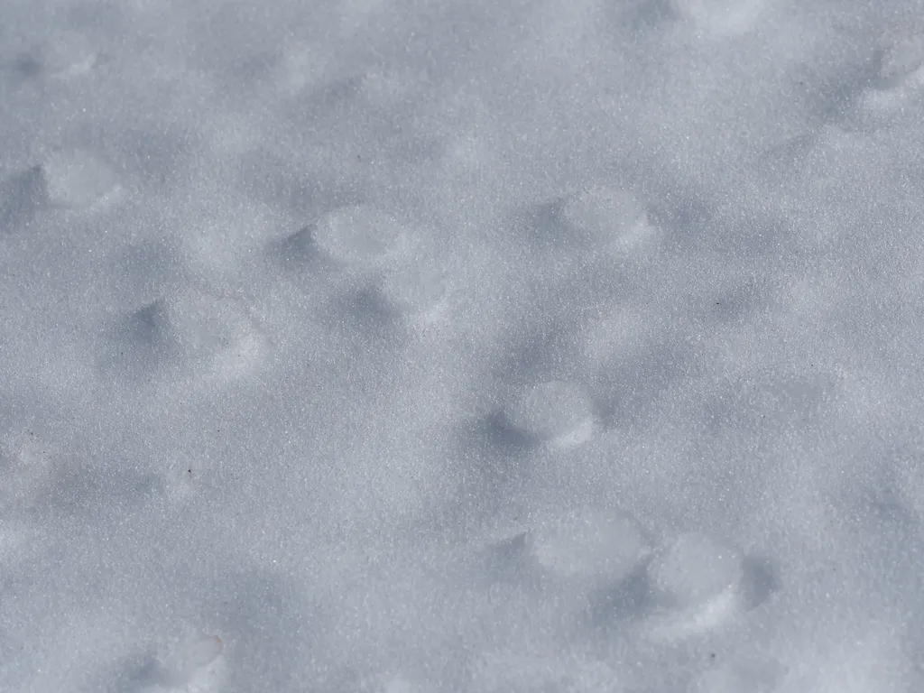 the mottled top of a snow bank that has been splashed