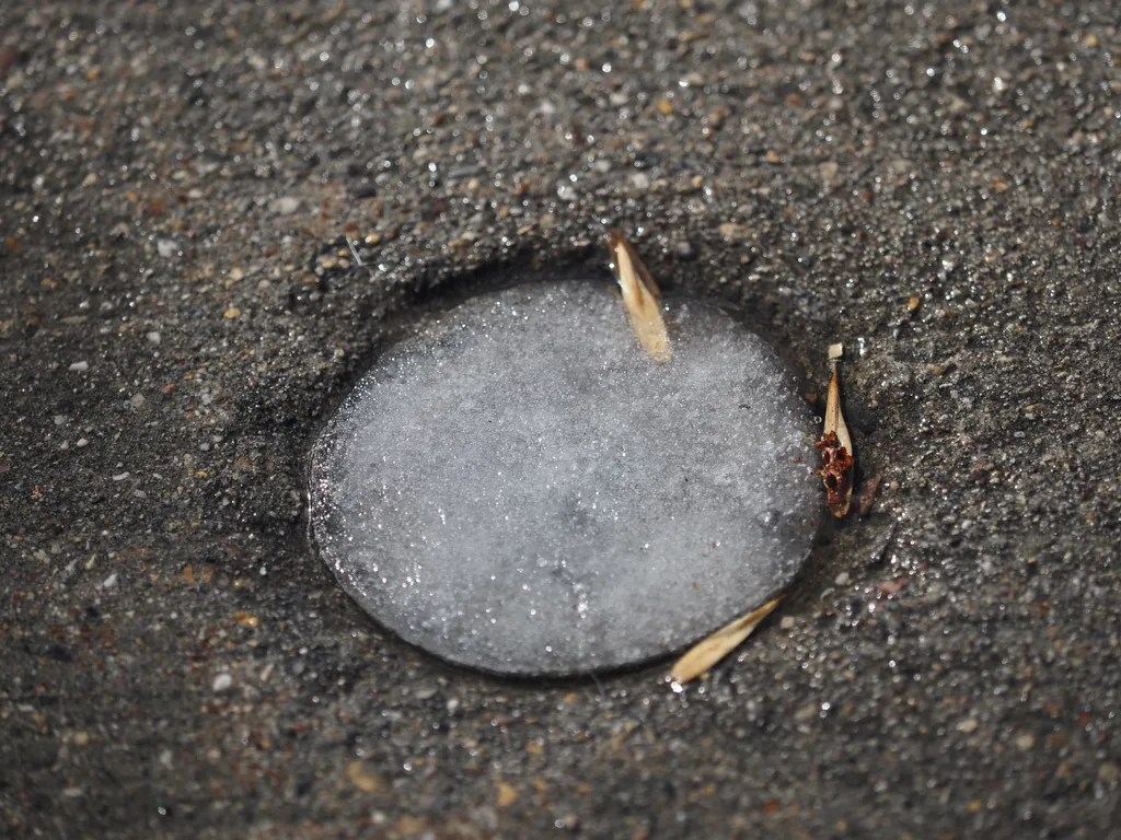 a disk of ice on the sealed-off pipe in a sidewalk