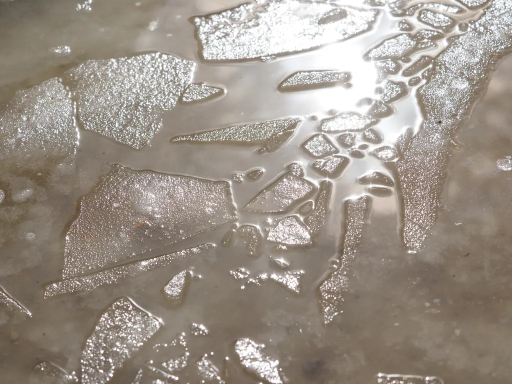 ice floating in a puddle