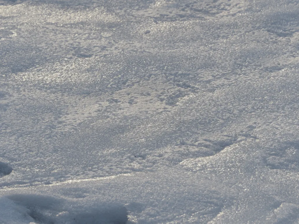 the mottled surface of a snowbank