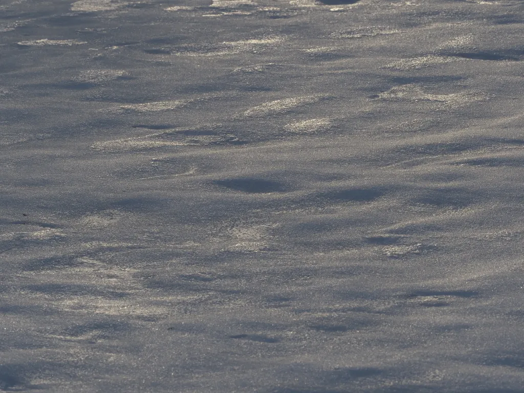 the mottled surface of a snowbank