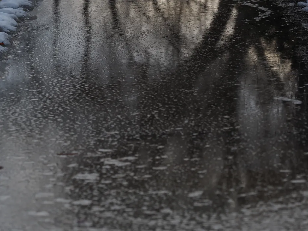 bubbly foam on the surface of a large puddle with trees reflected in it